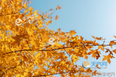 杂句的优美句子