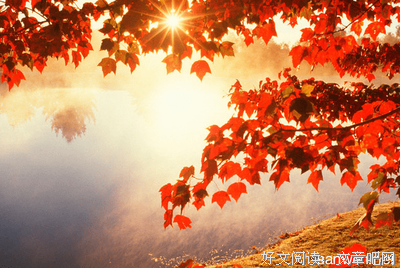 妙手偶得的句子