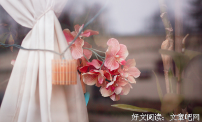 心语
