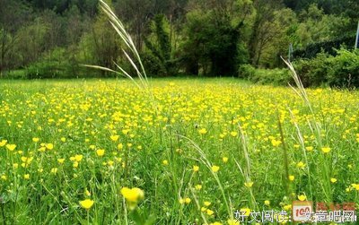 烟雨风缥缈句子大全