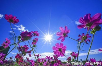 哲出我中想事比名句欣赏