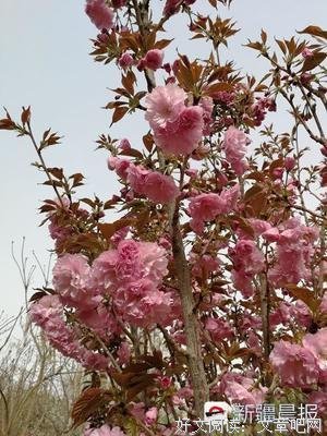 《长相思》0好词好句