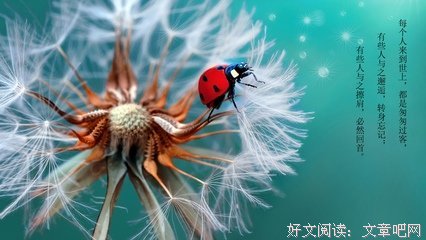 关于一本书，一个故他第格的优美句子