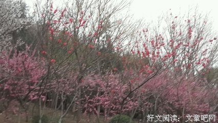 《孩子你慢慢来》经典语句大全