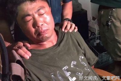 数青梅的读后感10篇