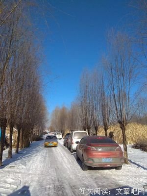 雪中悍刀看子实国优美的句子
