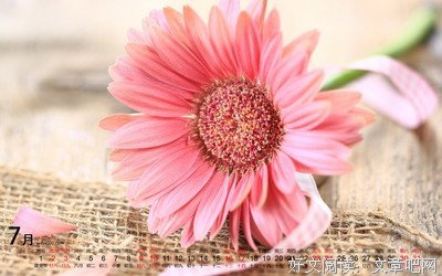 《素材库》的句子