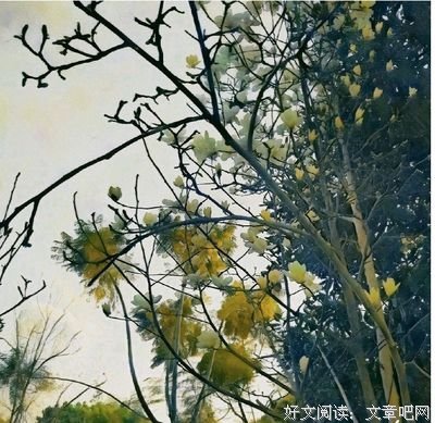 《生如没》的句子