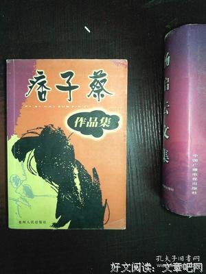 痞子蔡语录集