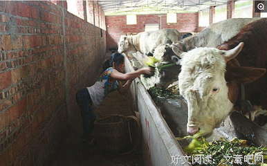 “闺蜜送的小碟片，我腿站不起来了”