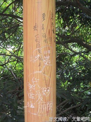让我们谈谈，那些使你遍体鳞伤的爱