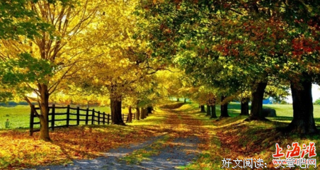 朋友圈背景图 ／ 我不介意你忘了我
