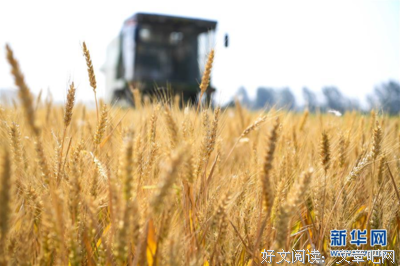 《赵桥村》读后感精选10篇