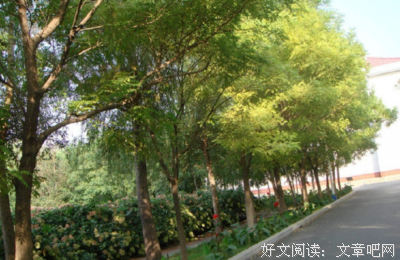 《羁押》经典观后感10篇