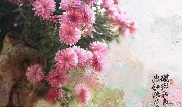 人到中年恰如秋 