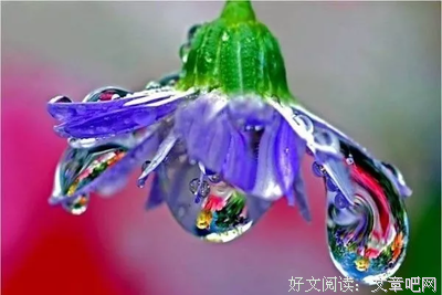 关于调皮的语句