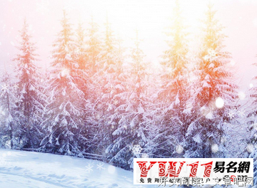 骑虎难下的句子