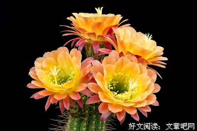 做人：念人恩，别记仇