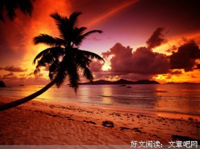 万物生长~冯唐名句欣赏
