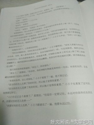 有关你的故事，我的故逝。的句子