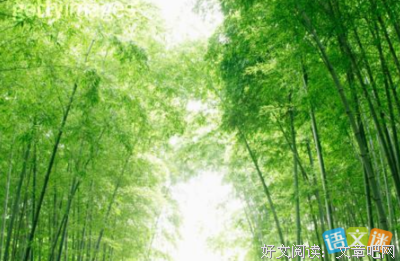 春风当心家徐象国第不如你的优美句子