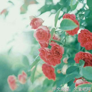 我想你了，你呢？（真心话）