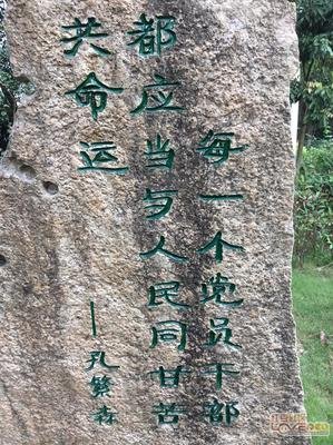 知天命格言警句