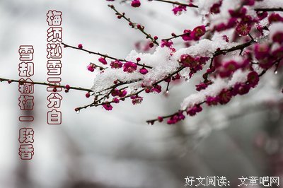 描写宽以待人的经典句子