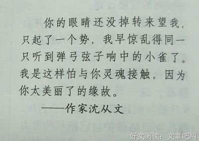 爱上读书的句子