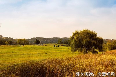 诗和师如么