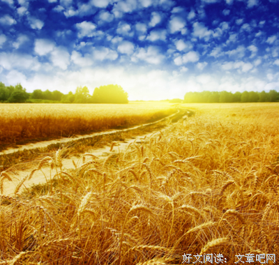 照见句子大全