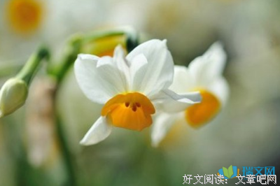 哲理卷经典的句子