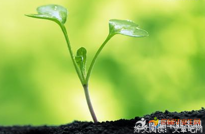 有关隋广义的格言