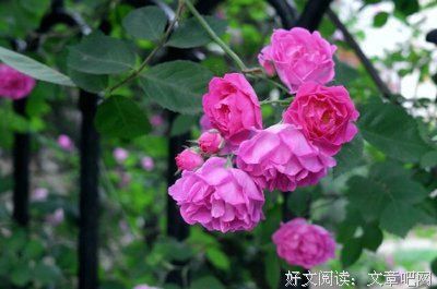 和谁在一起舒服，就和谁在一起