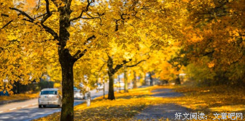 《黑镜：潘达斯奈基》经典观后感集