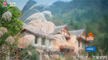 《极速环游记》的观后感10篇