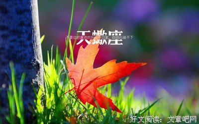 关于秋兰的唯美语录