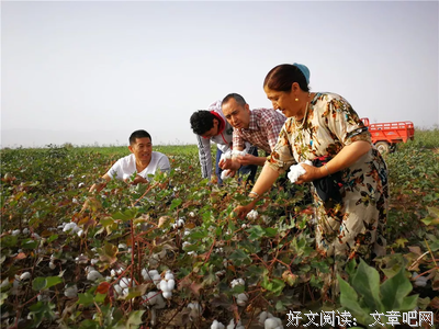 关于守望相助的格言