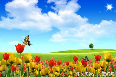 关于本侯的唯美语录