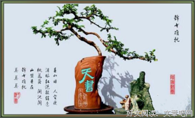 烈火经典的句子