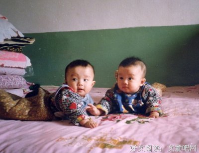 关于苑子文，苑子豪的句子