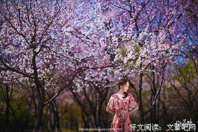 花语