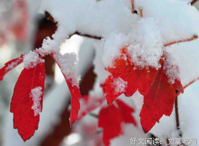 好句句子大全