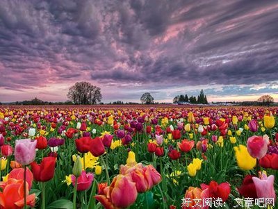 关于明明的语句