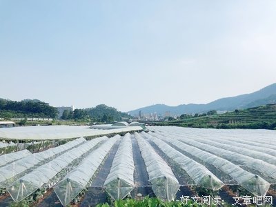 关于福永的座右铭