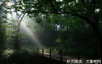 喜欢的少年的优美句子
