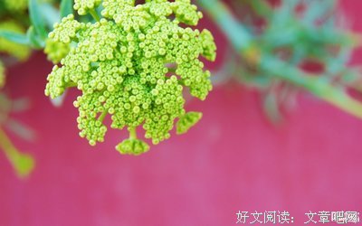 双子座为你沦陷的表现