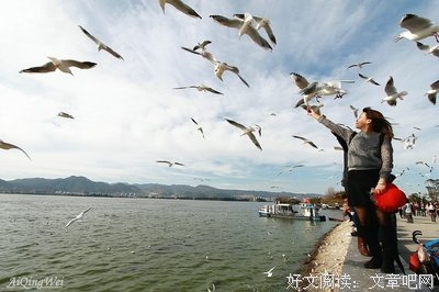 乐靓好词好句