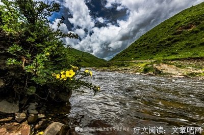 那些深入刻骨的句子