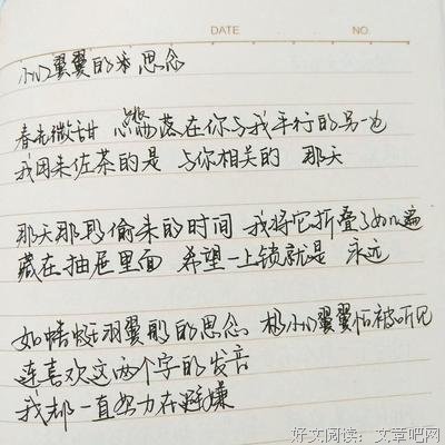 喜欢你句子大全